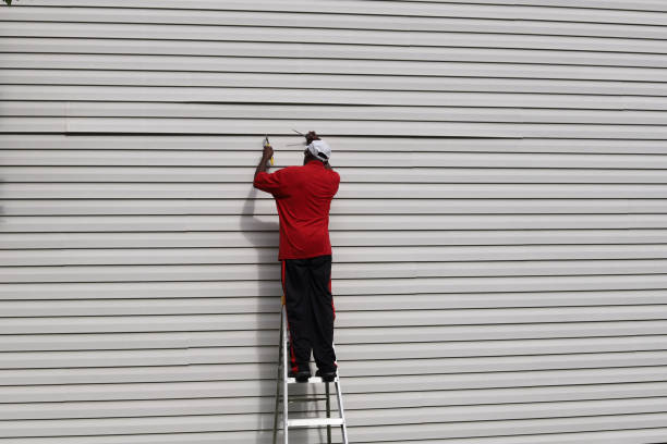 Best Stucco Siding  in Lake Camelot, IL